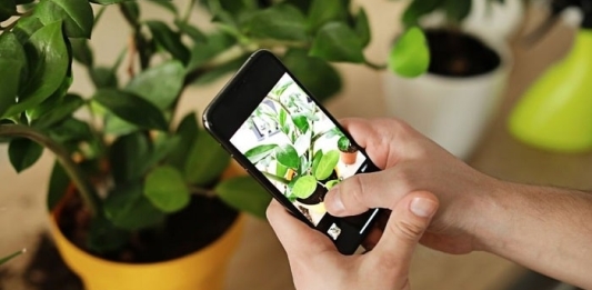 Os aplicativos de jardinagem e plantas que você precisa conhecer para ter um jardim de sucesso
