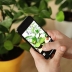 Las apps de jardinería y plantas que necesitas saber para tener un jardín exitoso